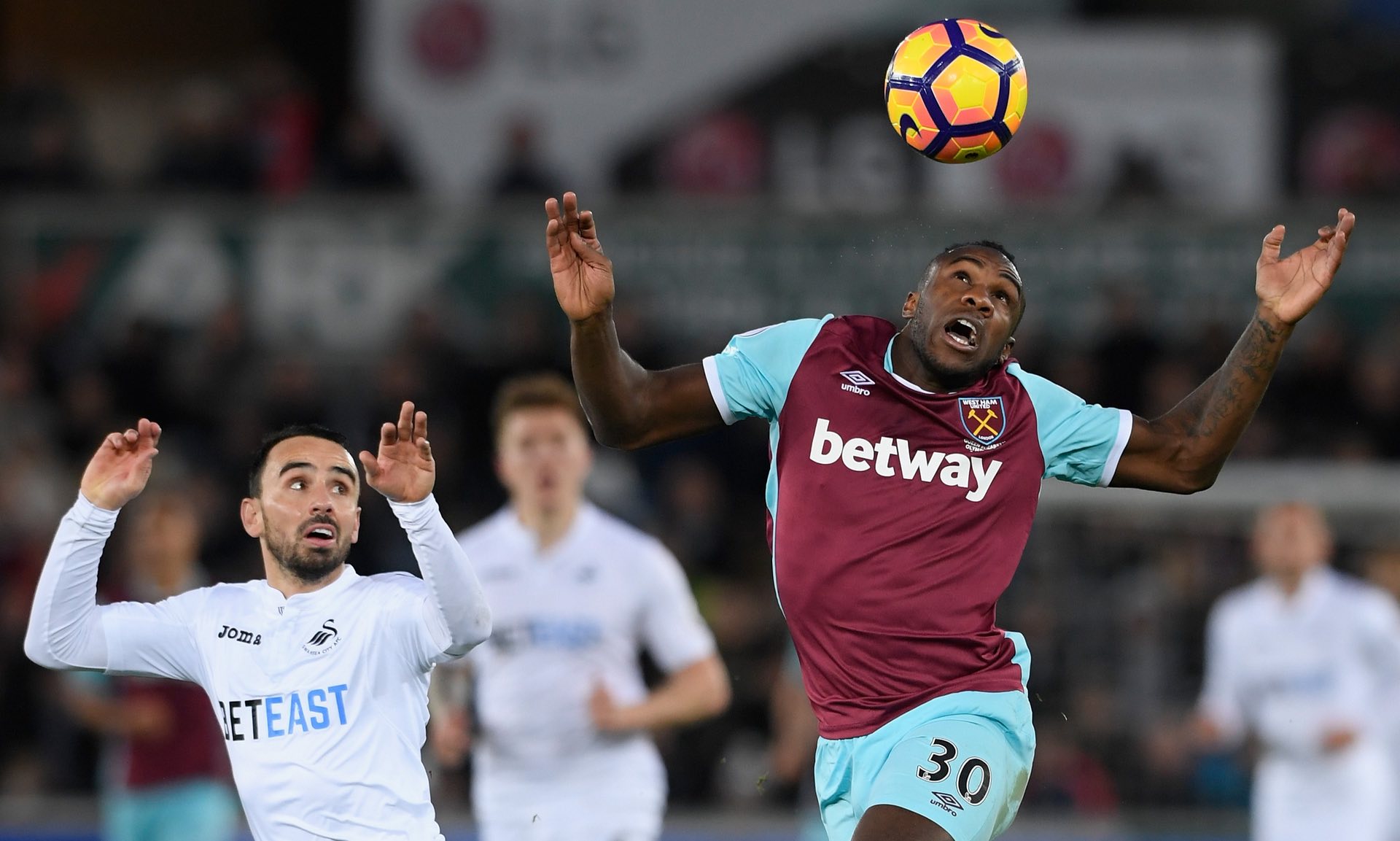 忠实支持者 忠实支持者